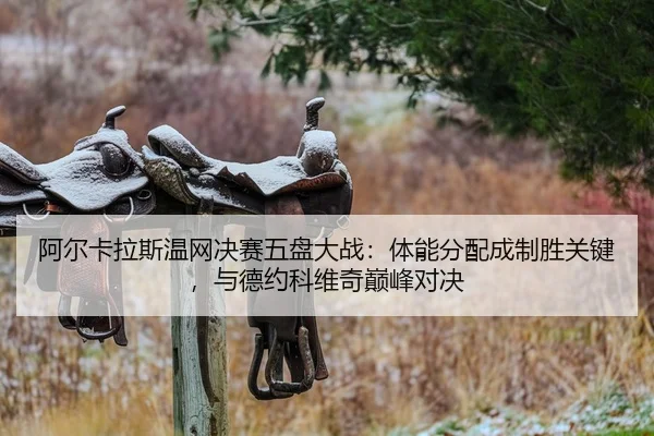 a-er-ka-la-si-wen-wang-jue-sai-wu-pan-da-zhan-ti-neng-fen-pei-cheng-zhi-sheng-guan-jian-yu-de-yue-ke-wei-qi-dian-feng-2-882.jpg